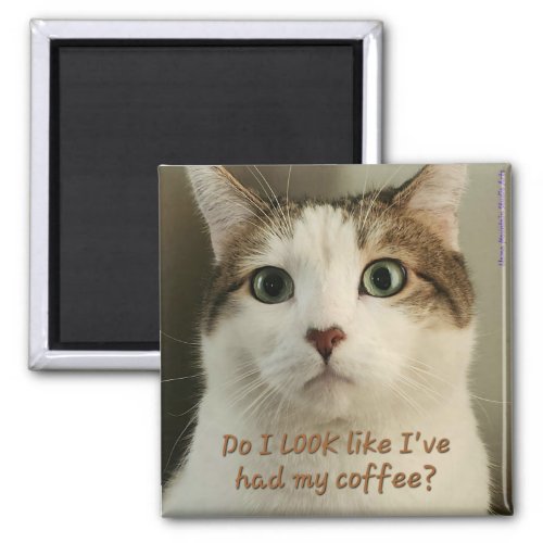 Coffee Cat Magnet 2 _ Shuri