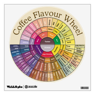 Coffee Flavor Wheel - Wall Decal