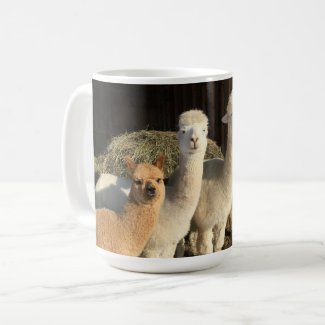 Coffee Mug - Alpacas in the Winter Sun