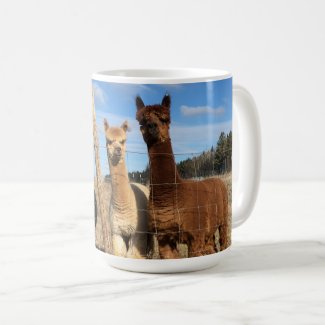 Coffee Mug - Alpacas Phaethon, Barley, & Marvin