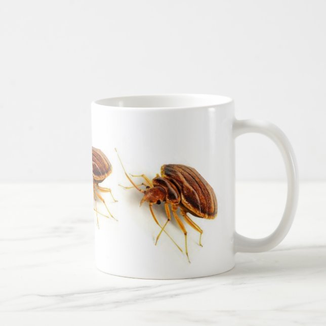 Coffee Mug - Cimex lectularius (bed bug) (Right)