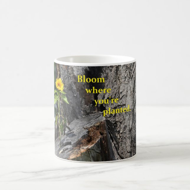coffee mug with flower growing out of tree (Center)