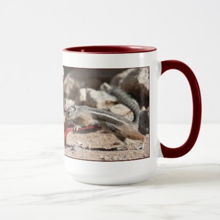 Coffee Squirrels Ringer Mug