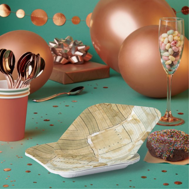 Coffee Stained Ledger Accountant Paper Plates (Multi)