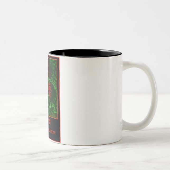 COFFEE  Stimulate Your Neurons! Two-Tone Coffee Mug (Right)