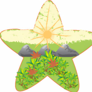 coffee/ tea   jar/ pot teapot