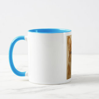 cogie mug, sky color mug