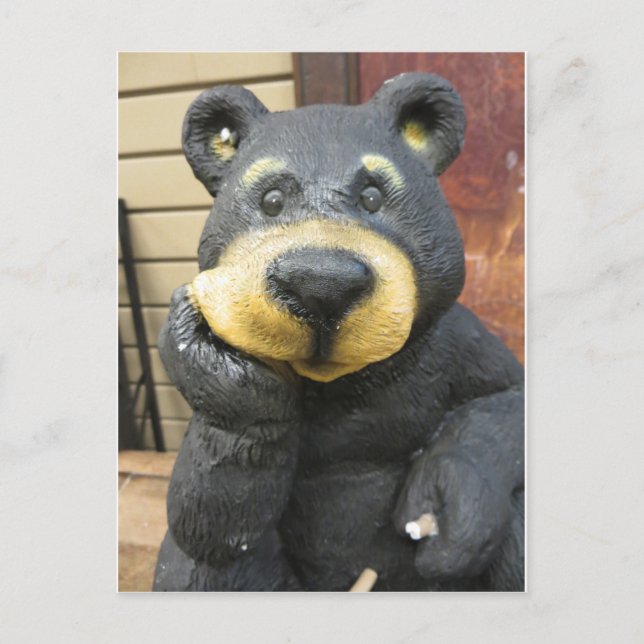 Cogitating Bear Postcard (Front)