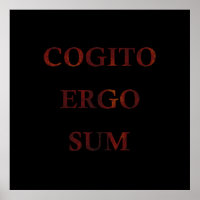Cogito ergo sum
