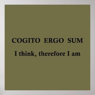 Cogito ergo sum poster