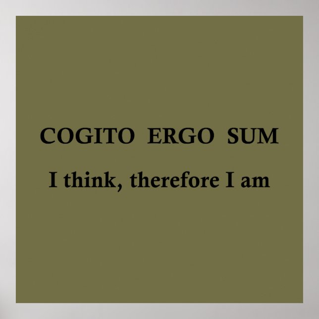 Cogito ergo sum poster (Front)