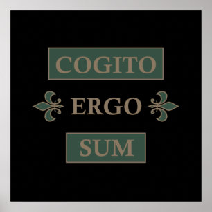 Cogito ergo sum poster