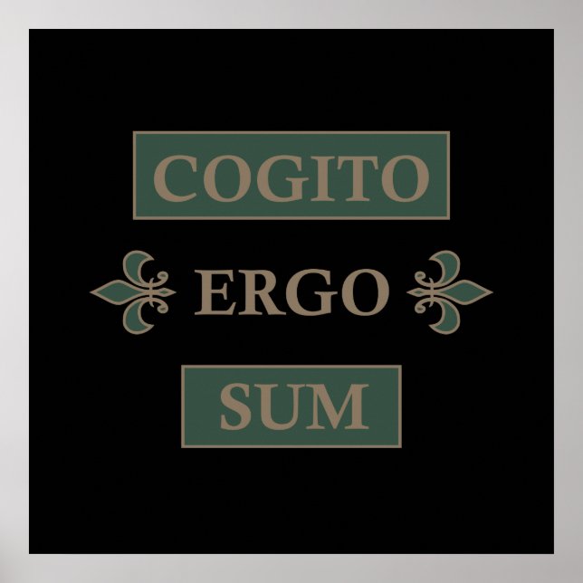 Cogito ergo sum poster (Front)