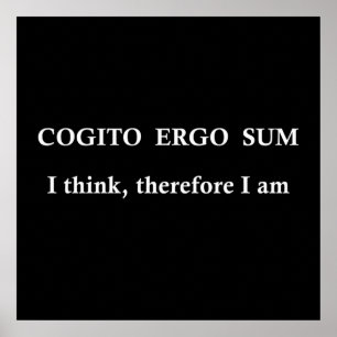 Cogito ergo sum poster