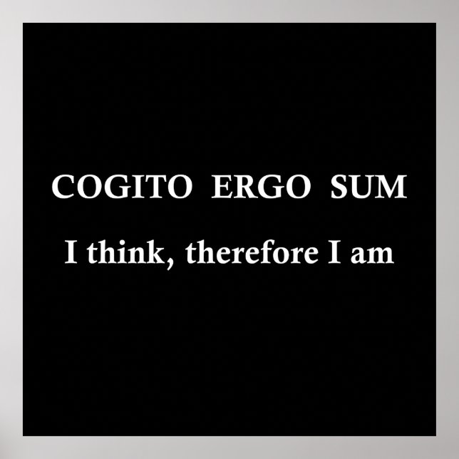 Cogito ergo sum poster (Front)