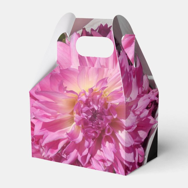 Cogniet Favor Boxes (Front Side)