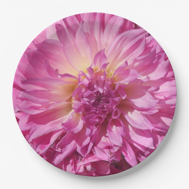 Cogniet Paper Plates (Front)