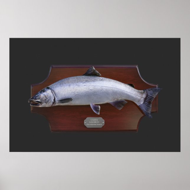 Coho Salmon Trophy Display Plaque Poster (Front)