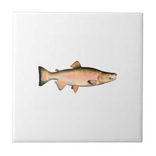 Coho _ Silver Salmon spawning phase Ceramic Tile