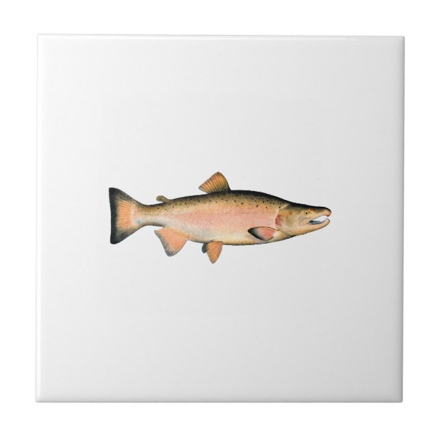 Coho - Silver Salmon (spawning phase) Ceramic Tile (Front)