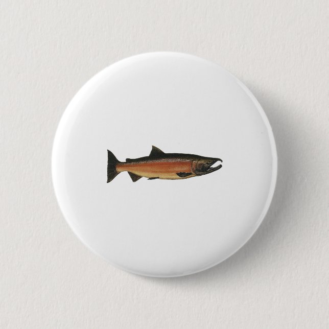 Coho - Silver Salmon (spawning phase) Pinback Button (Front)