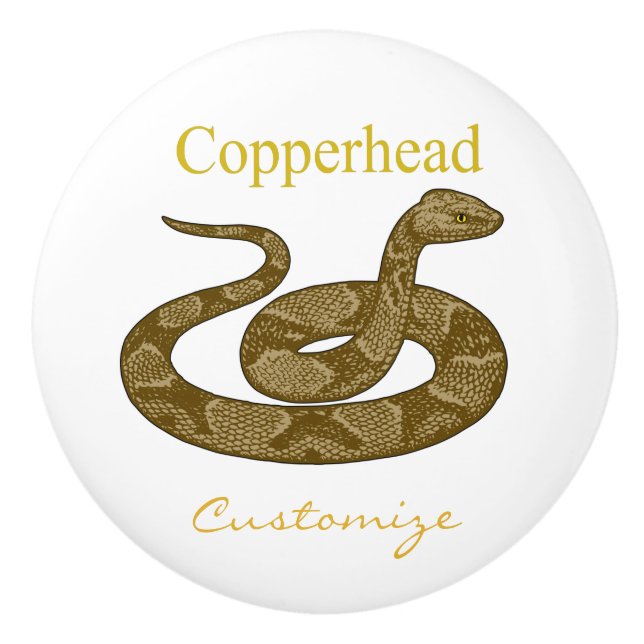 Coiled Copperhead Snake Thunder_Cove Ceramic Knob (Front)