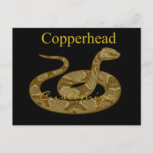 Coiled Copperhead Snake Thunder_Cove Postcard (Front)