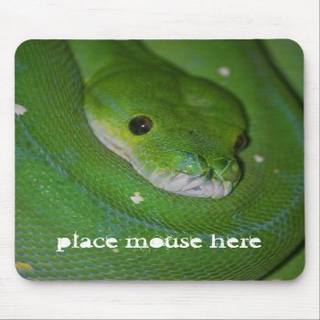 Coiled Exotic Green Snake Mouse Pad by BridesToBe at Zazzle