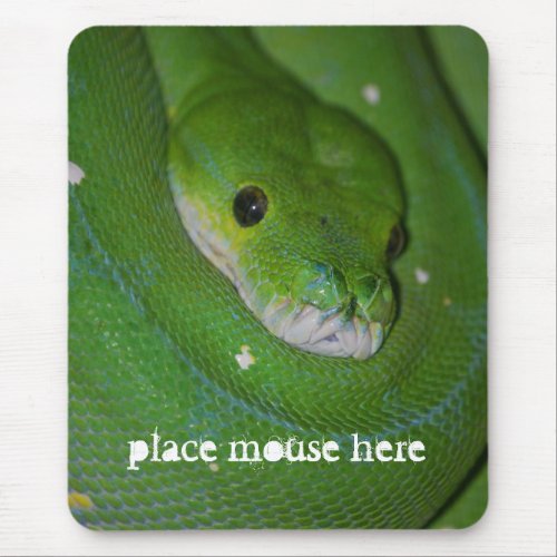 Coiled Exotic Green Snake Mouse Pad