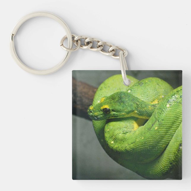 Coiled Green Tree Snake Keychain (Front)