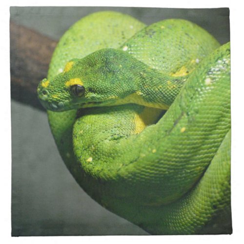 Coiled Green Tree Snake Napkin