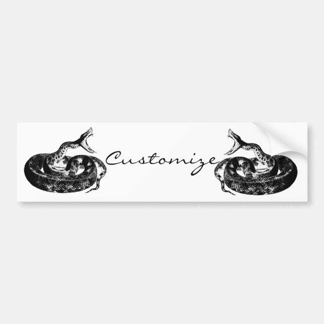 Coiled Rattlesnake Thunder_Cove Bumper Sticker (Front)