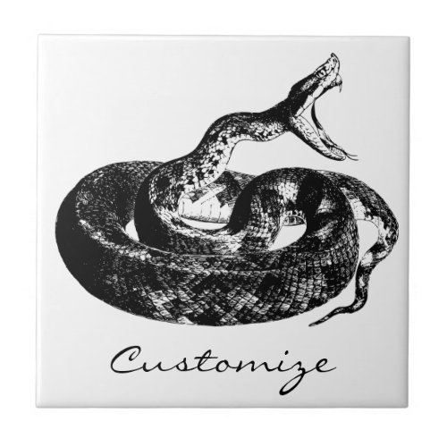 Coiled Rattlesnake Thunder_Cove Ceramic Tile