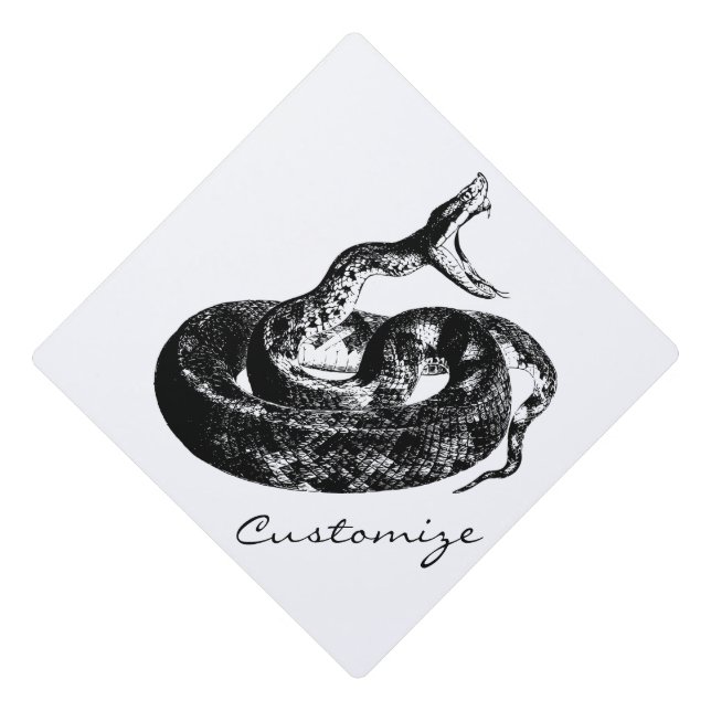 Coiled Rattlesnake Thunder_Cove Graduation Cap Topper (Front)