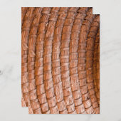 Coiled reed (Front/Back)