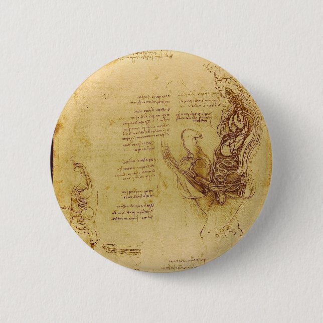 Coition of a hemisected man and woman button (Front)