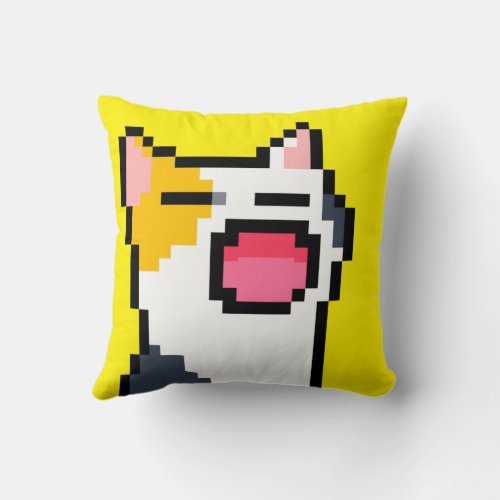 Cojn Throw Pillow