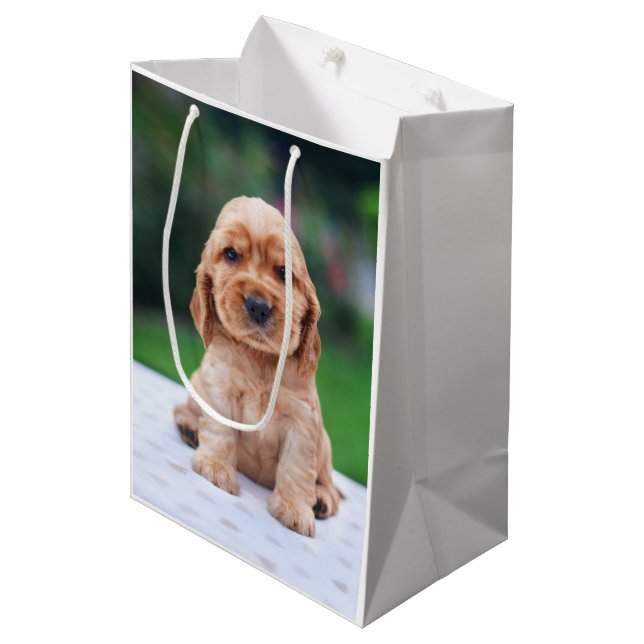 Coker Spaniel Puppy Medium Gift Bag (Front Angled)