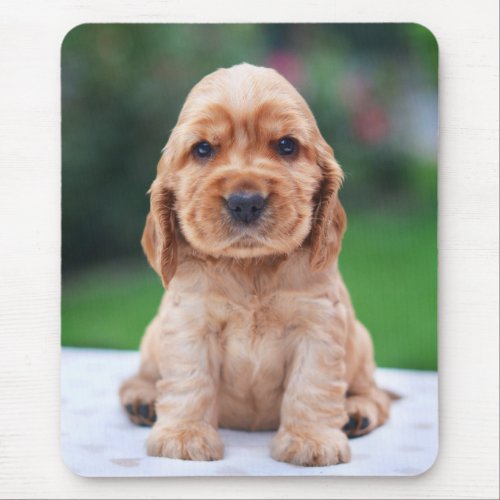 Coker Spaniel Puppy Mouse Pad