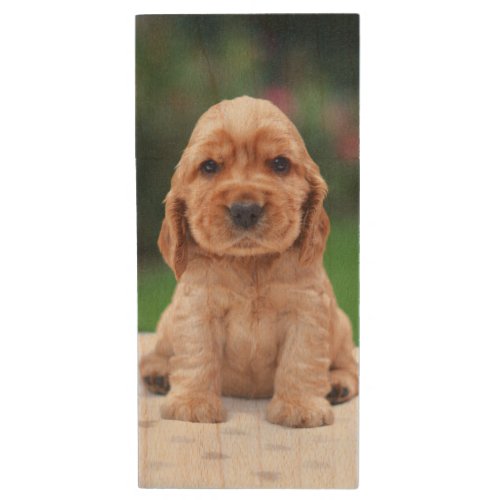 Coker Spaniel Puppy Wood Flash Drive