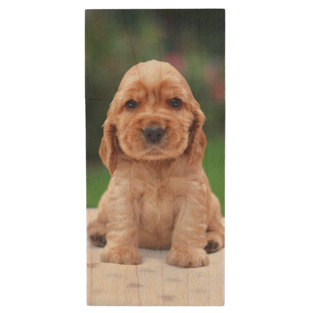 Coker Spaniel Puppy Wood Flash Drive (Front Vertical)