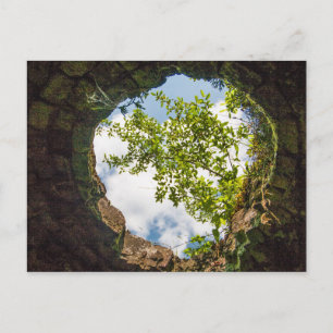 Coketown Coke Oven Ruins, West Virginia Postcard