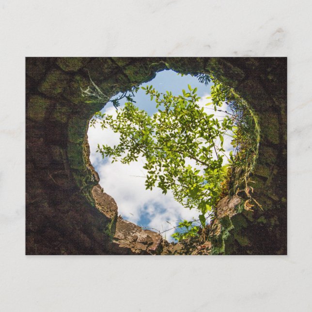 Coketown Coke Oven Ruins, West Virginia Postcard (Front)