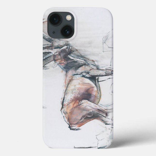 Col di Vermianaz Case-Mate iPhone Case (Back)