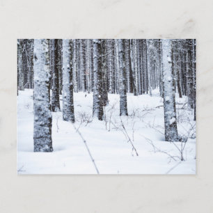 COL DU MOLLENDRUZ, MONT-LA-VILLE, SWITZERLAND POSTCARD