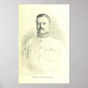 Col. Theodore Roosevelt Poster