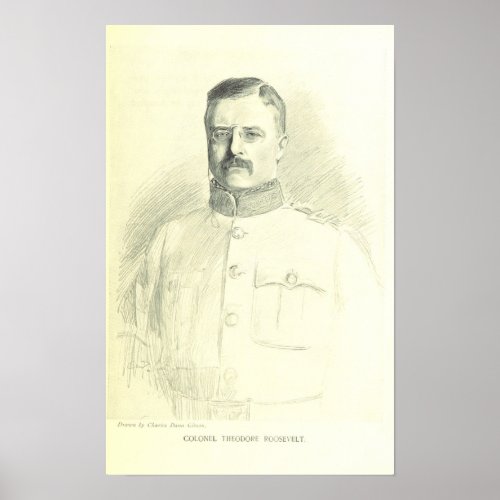 Col Theodore Roosevelt Poster