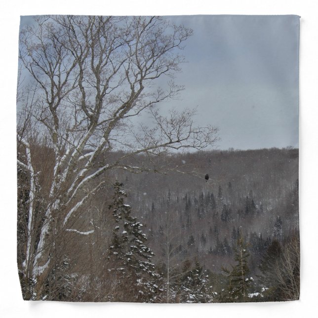 Cold and Lonely Bandana (Front)
