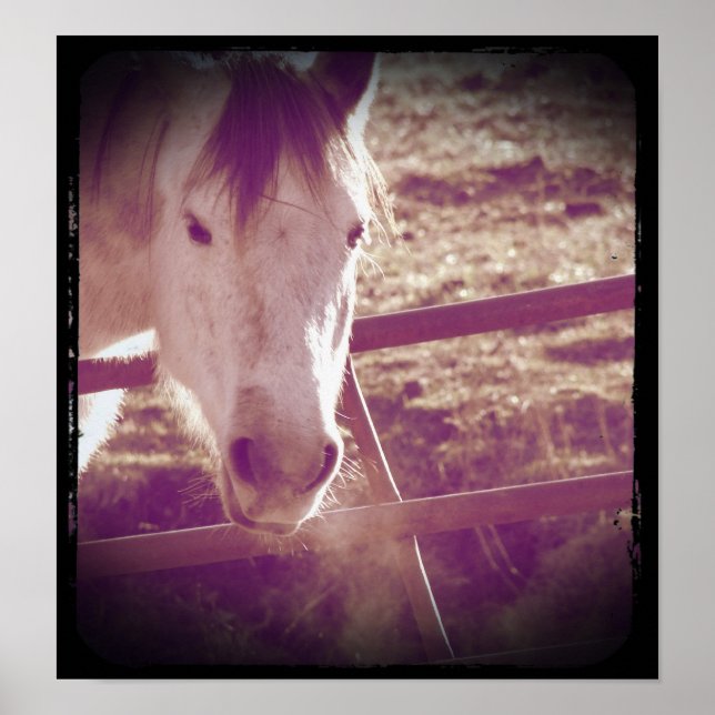 Cold Day Gray Poster (Front)