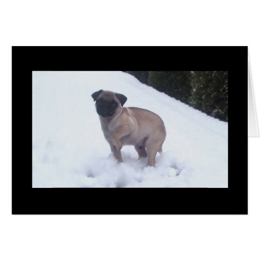 Cold Feet Cards (Front Horizontal)